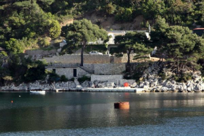 Apartments by the sea Cove Saplunara, Mljet - 4932